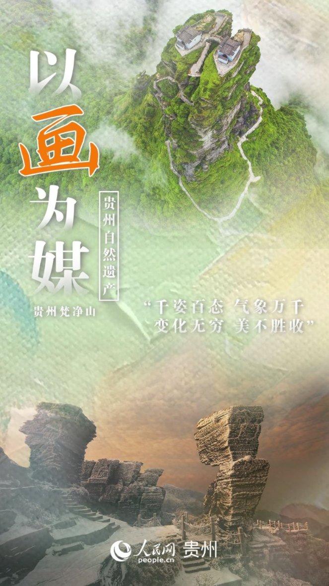 春雨直播app